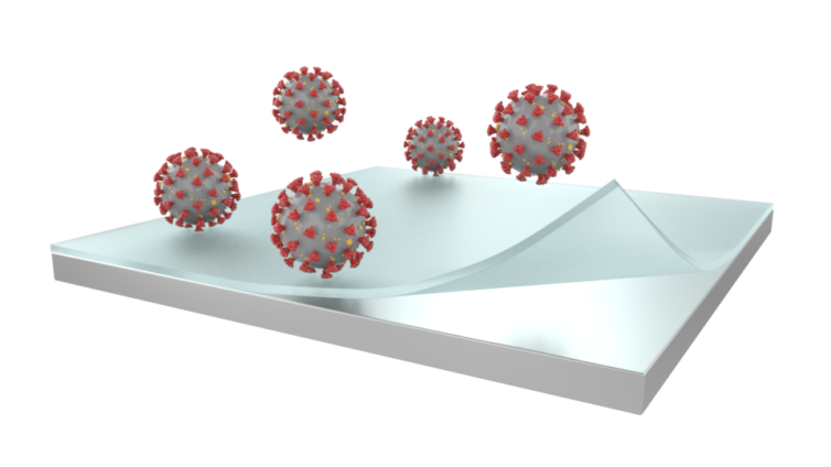 3D BiaXam Diagram Model